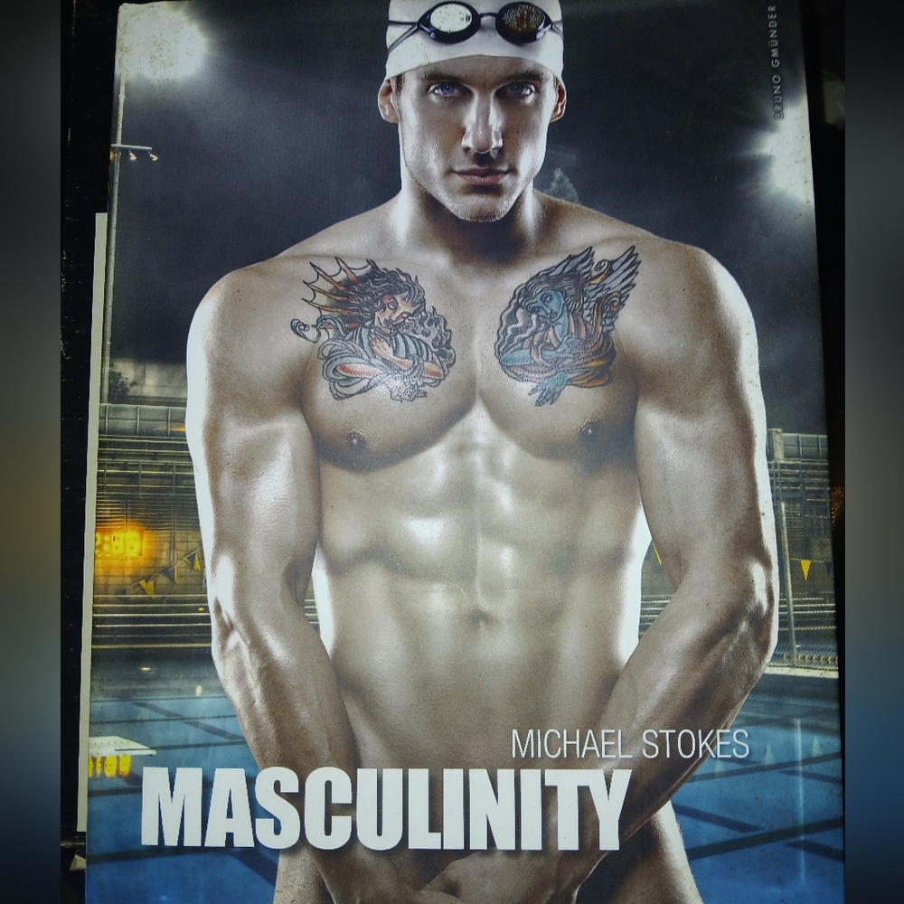 Michael Stokes Masculinity Book,, great condition